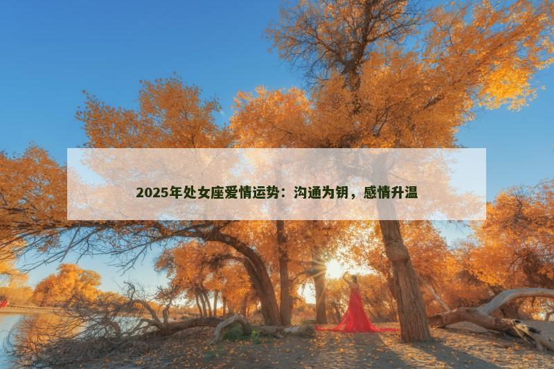 2025年处女座爱情运势：沟通为钥，感情升温