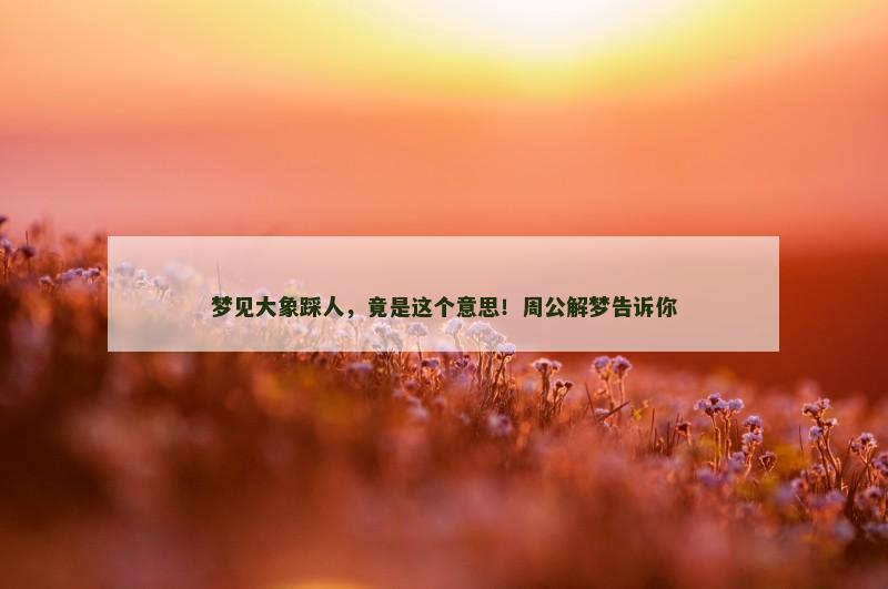 梦见大象踩人，竟是这个意思！周公解梦告诉你