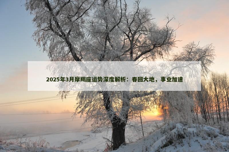 2025年3月摩羯座运势深度解析：春回大地，事业加速