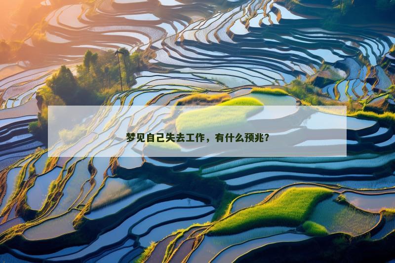 梦见自己失去工作，有什么预兆？