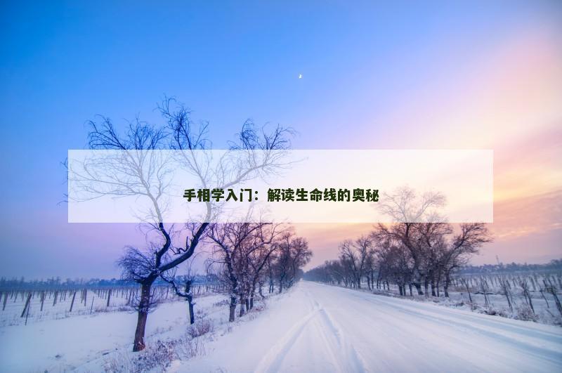 手相学入门：解读生命线的奥秘