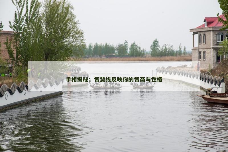 手相揭秘：智慧线反映你的智商与性格