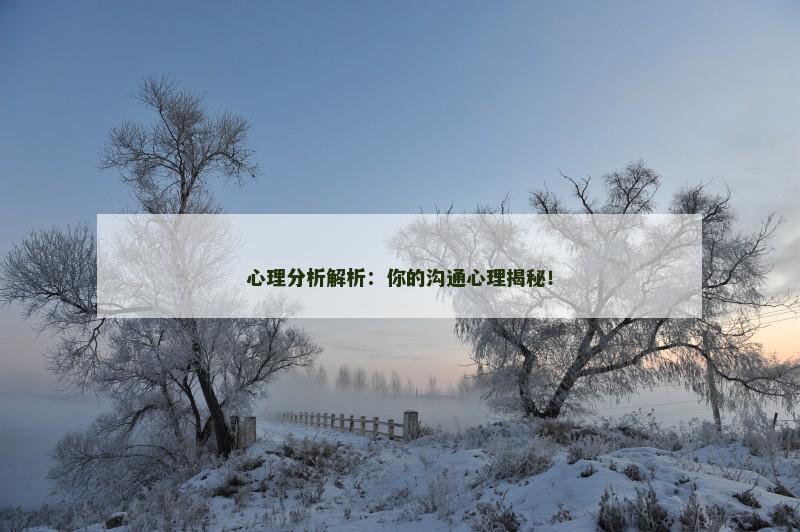 心理分析解析：你的沟通心理揭秘！