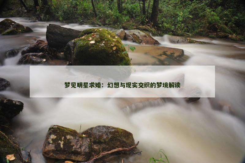 梦见明星求婚：幻想与现实交织的梦境解读