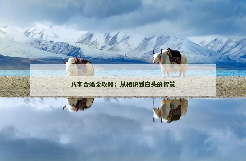 八字合婚全攻略：从相识到白头的智慧