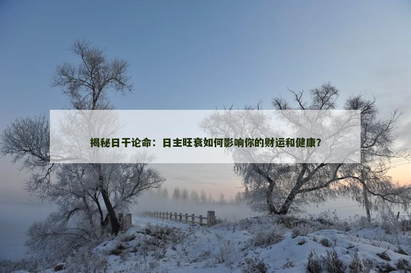 揭秘日干论命：日主旺衰如何影响你的财运和健康？