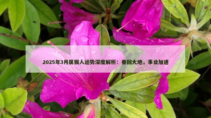 2025年3月属猴人运势深度解析：春回大地，事业加速