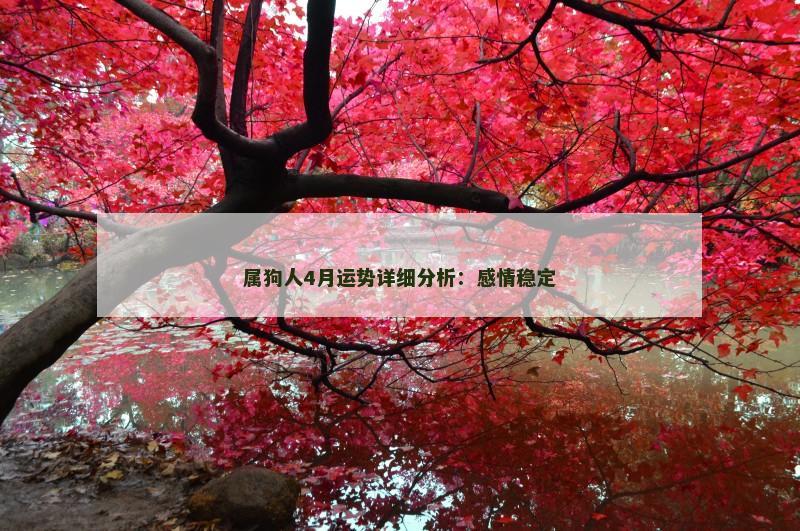 属狗人4月运势详细分析：感情稳定