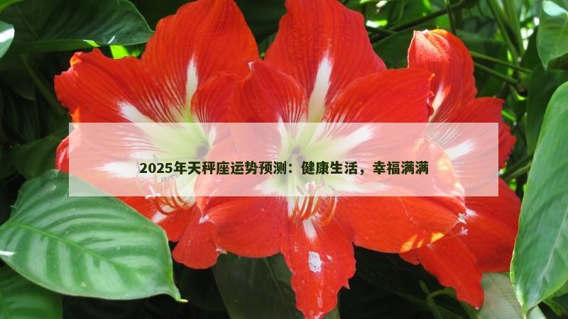 2025年天秤座运势预测：健康生活，幸福满满