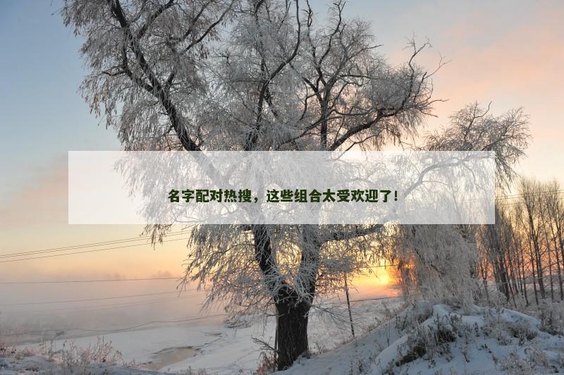名字配对热搜，这些组合太受欢迎了！