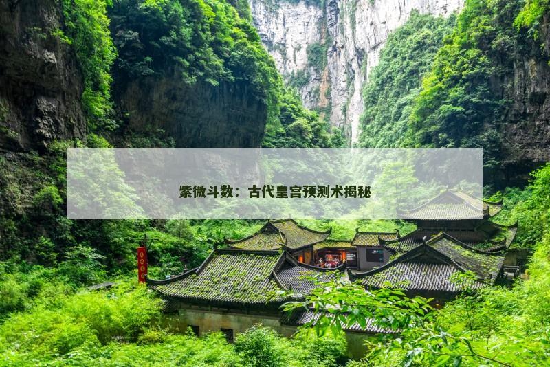 紫微斗数：古代皇宫预测术揭秘