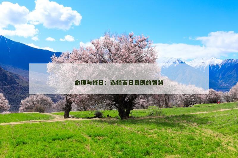 命理与择日：选择吉日良辰的智慧