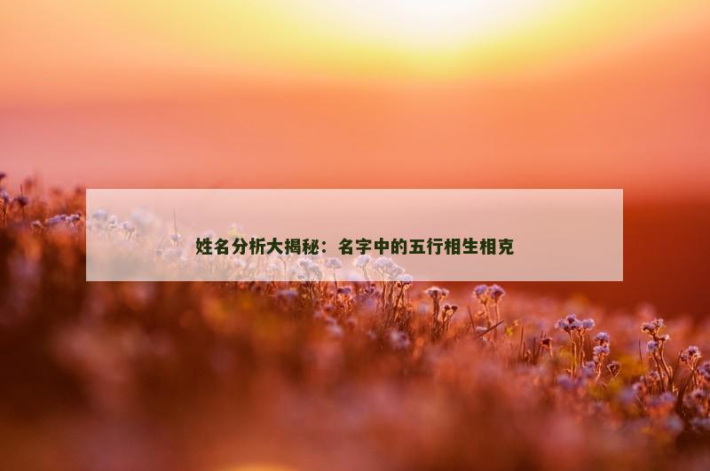 姓名分析大揭秘：名字中的五行相生相克