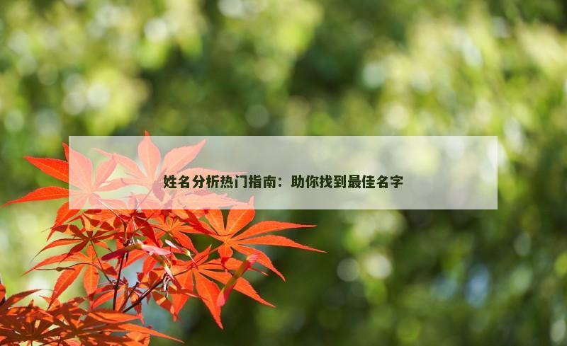 姓名分析热门指南：助你找到最佳名字