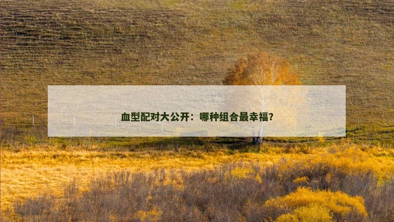 血型配对大公开：哪种组合最幸福？
