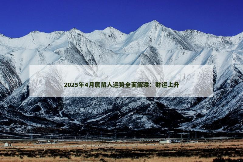 2025年4月属鼠人运势全面解读：财运上升