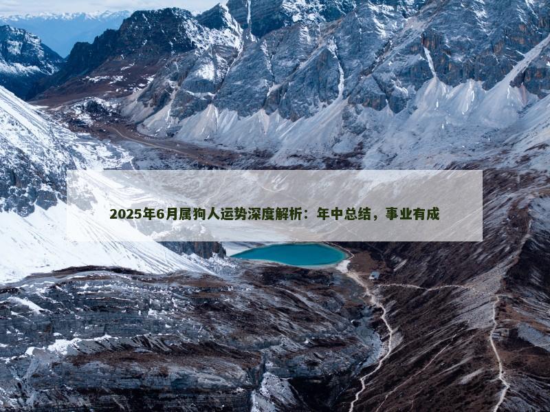 2025年6月属狗人运势深度解析：年中总结，事业有成