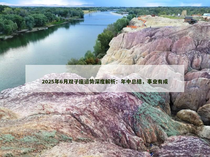 2025年6月双子座运势深度解析：年中总结，事业有成