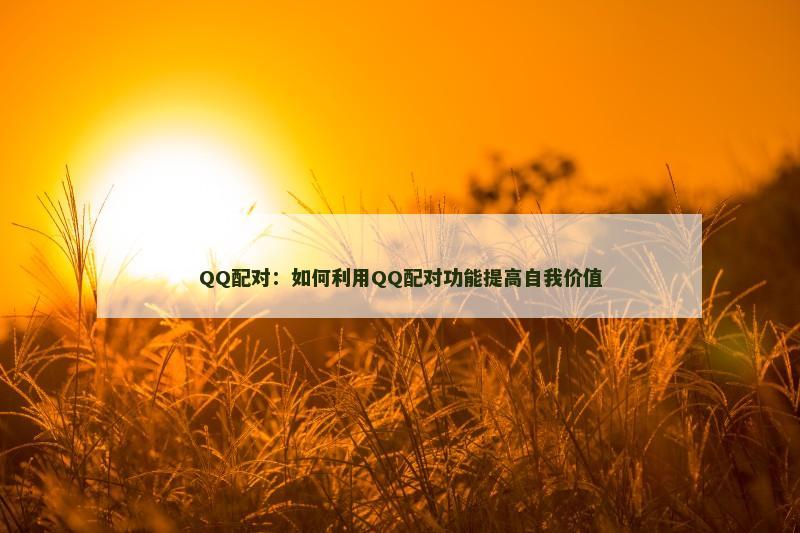 QQ配对：如何利用QQ配对功能提高自我价值