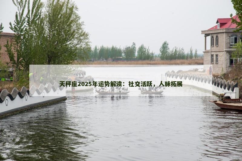 天秤座2025年运势解读：社交活跃，人脉拓展