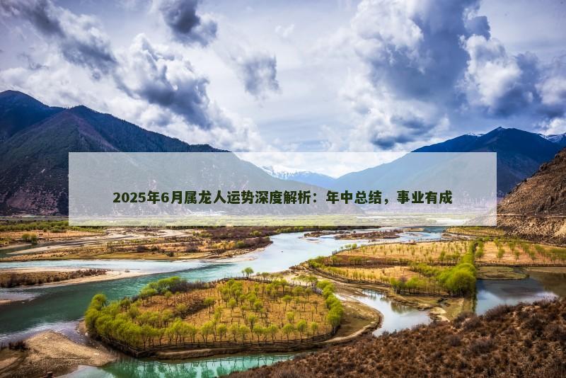 2025年6月属龙人运势深度解析：年中总结，事业有成