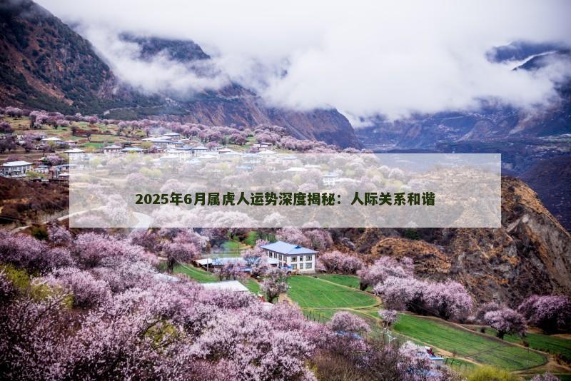 2025年6月属虎人运势深度揭秘：人际关系和谐