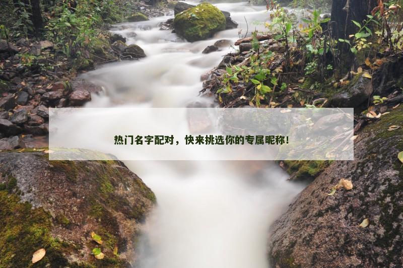热门名字配对，快来挑选你的专属昵称！