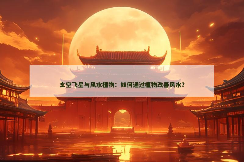 玄空飞星与风水植物：如何通过植物改善风水？