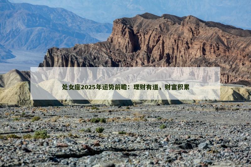处女座2025年运势前瞻：理财有道，财富积累