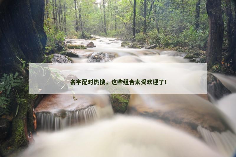 名字配对热搜，这些组合太受欢迎了！