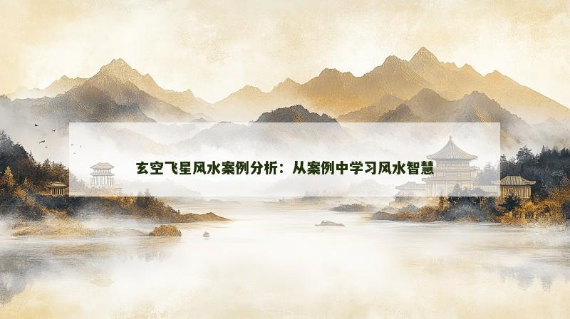 玄空飞星风水案例分析：从案例中学习风水智慧