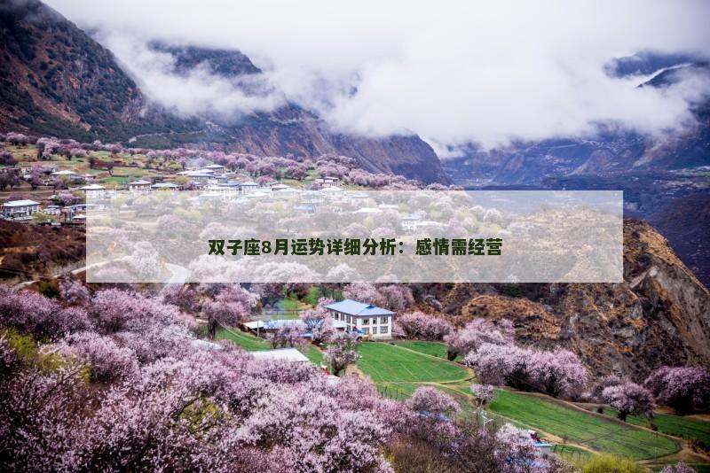 双子座8月运势详细分析：感情需经营