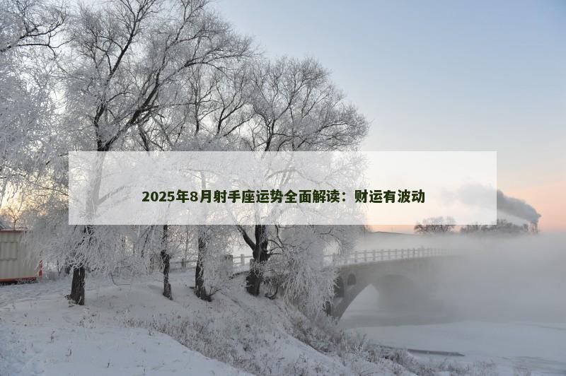 2025年8月射手座运势全面解读：财运有波动