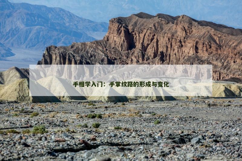 手相学入门：手掌纹路的形成与变化
