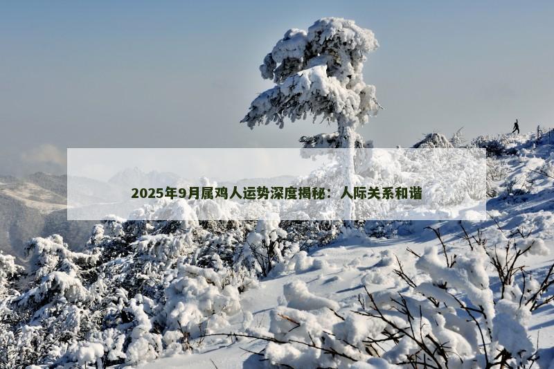 2025年9月属鸡人运势深度揭秘：人际关系和谐