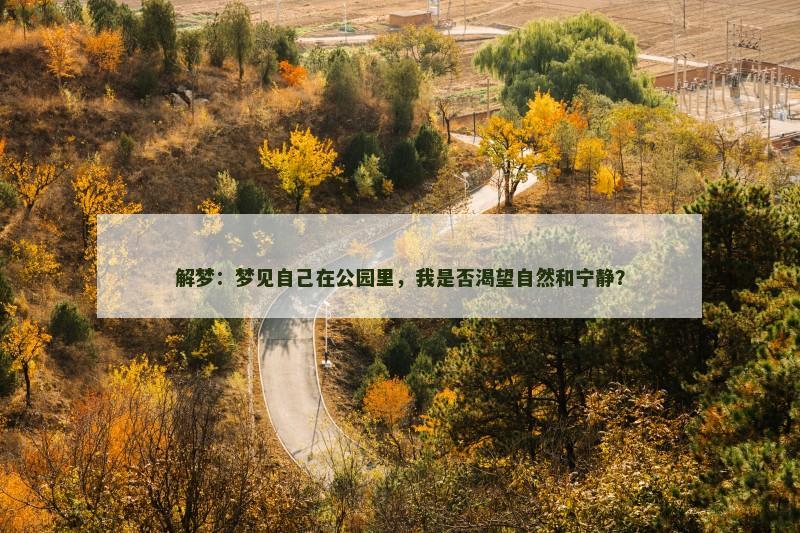 解梦：梦见自己在公园里，我是否渴望自然和宁静？