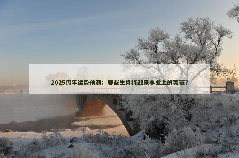 2025流年运势预测：哪些生肖将迎来事业上的突破？