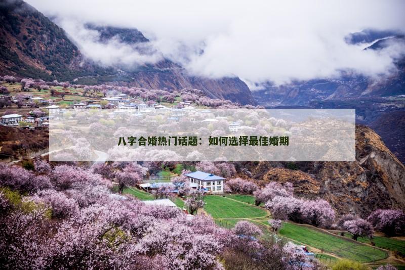 八字合婚热门话题：如何选择最佳婚期