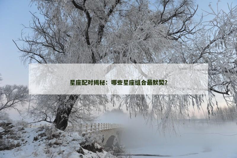 星座配对揭秘：哪些星座组合最默契？