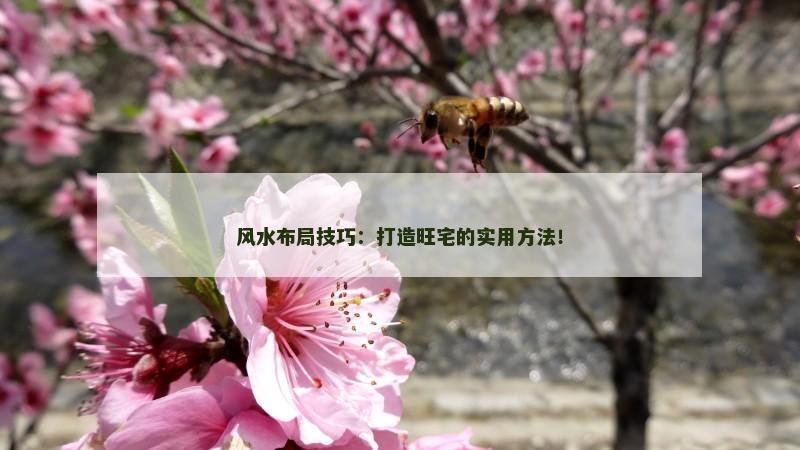 风水布局技巧：打造旺宅的实用方法！
