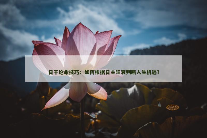 日干论命技巧：如何根据日主旺衰判断人生机遇？