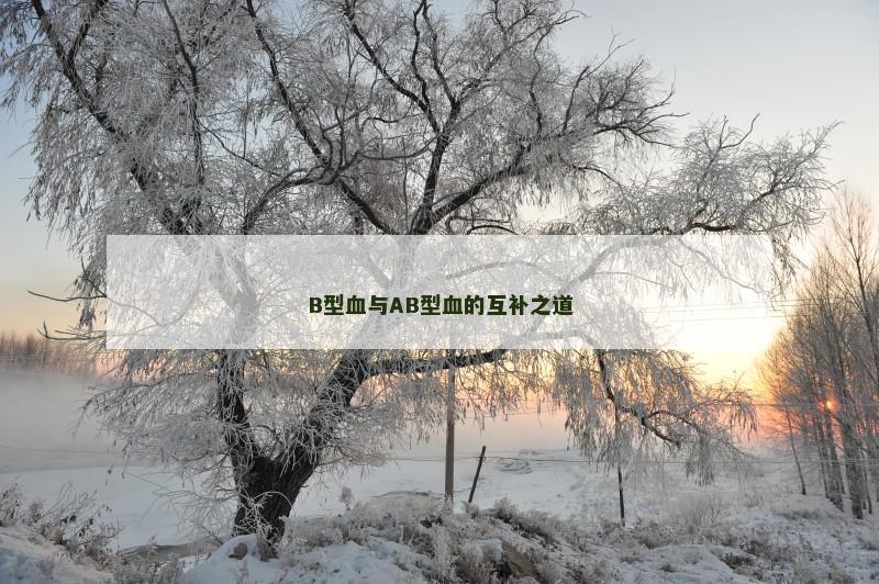 B型血与AB型血的互补之道