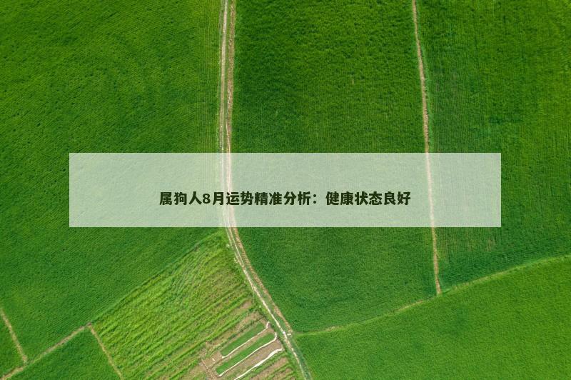 属狗人8月运势精准分析：健康状态良好