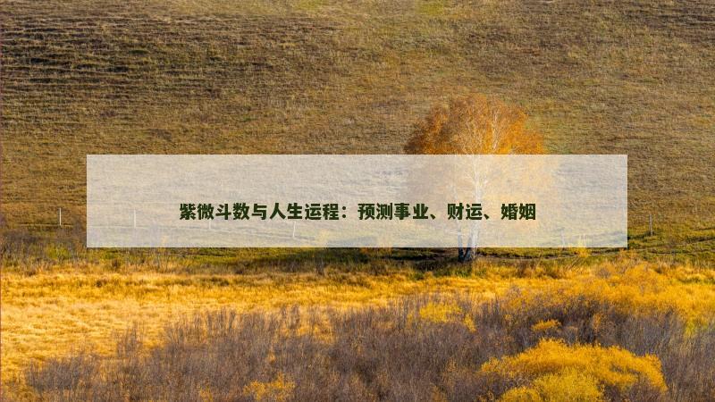 紫微斗数与人生运程：预测事业、财运、婚姻