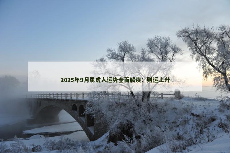 2025年9月属虎人运势全面解读：财运上升