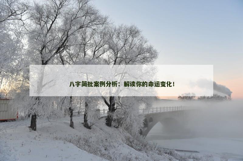 八字简批案例分析：解读你的命运变化！