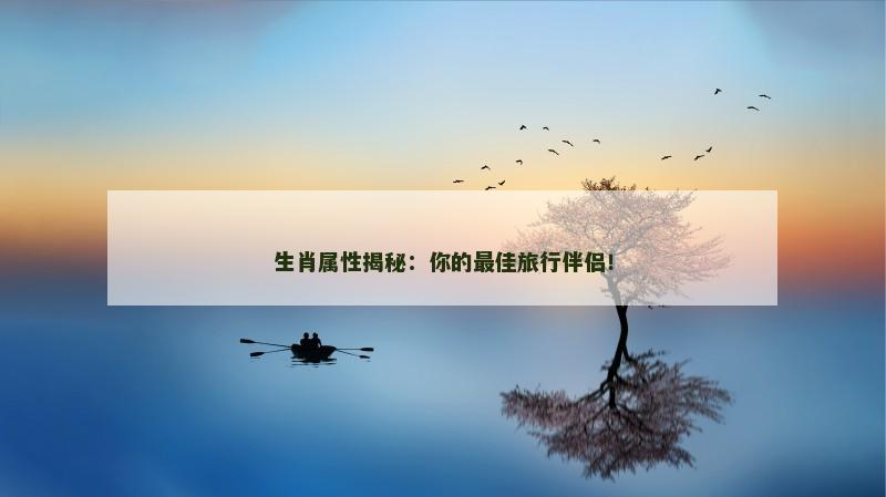 生肖属性揭秘：你的最佳旅行伴侣！