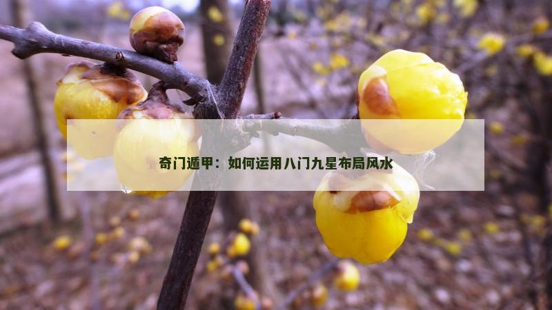 奇门遁甲：如何运用八门九星布局风水