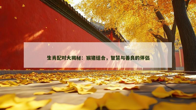 生肖配对大揭秘：猴猪组合，智慧与善良的伴侣