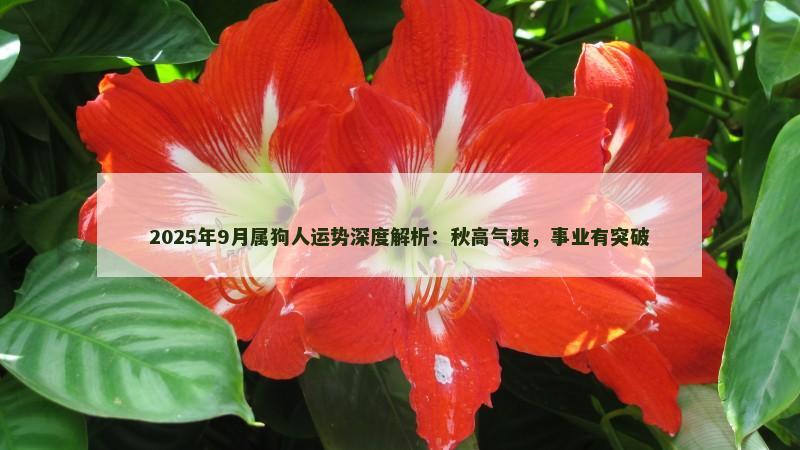 2025年9月属狗人运势深度解析：秋高气爽，事业有突破